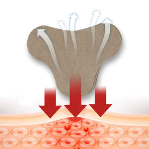 Cerotto antidolorifico cervicale per alleviare il dolore al collo di assenzio gesso ancora nessuna recensione - Product Image 6