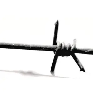 Filo spinato picchi sul recinto singolo e doppio nucleo filo spinato fidget barriera di sicurezza recinzione a spirale