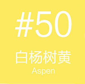 Papier de fond pour photographie JingYing de haute qualité, 1,2 x 2 m, couleur unie, sans couture - Product Image 6