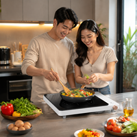 Table de cuisson à induction haute puissance 2000W, plaque chauffante électrique portable avec verrouillage enfant et minuterie pour distributeur d'appareils de cuisine