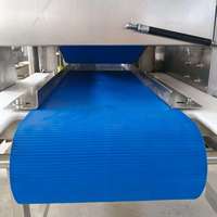 Machine à trancher la viande fraîche industrielle SUS304, trancheuse automatique de filets de porc, de bœuf et de poulet pour l'usine de transformation de la viande