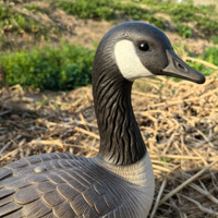 Décoys de chasse au canard en plastique EVA écologiques - Durables et résistants à l'eau pour la chasse en plein air