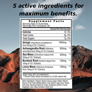 Gummies de Shilajit 5 en 1 de haute qualité, marque privée OEM, soutien énergétique et immunitaire, Ashwagandha, Shilajit, algues marines, crinière de lion - Product Image 6