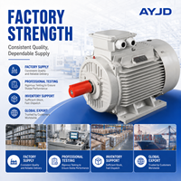 Motor Eléctrico Asíncrono de Inducción Trifásico IE3 de Grado Industrial de 15KW 20HP para Maquinaria Agrícola de Riego