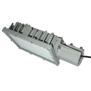 Lumière LED extérieure personnalisée IP65, résistante aux intempéries, en forme de noix, en aluminium moulé sous pression, support antidéflagrant, AC85-265V, garantie 5 ans - Product Image 1