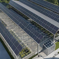 Großes Venlo-Typ Integriertes Solarpanel-Glas Mehrspanniges Gewächshaus Hybrid-Stromsystem Stabile Struktur Einfach zu Montieren