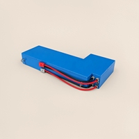 Pack de batteries LiFePO4 24V personnalisé 60Ah, qualité industrielle, batterie de stockage au lithium multi-scénarios