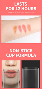 Aceite Labial Vegano Mate de 9 Colores, Marca Privada, Resistente al Agua, Larga Duración, Hidratante, Cuidado Labial - Product Image 6