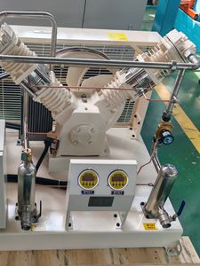 גנרטור חנקן קטן, קל להתקנה, לשימוש במעבדה, אס מוסמך, עם שנה אחת של תחזוקה חינם - Product Image 2