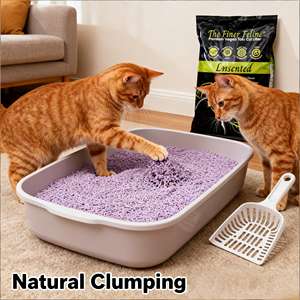 Bac à litière pour chat en tofu avec charbon actif, amidon de maïs, écologique, agglomération rapide, biodégradable, sans blocage des toilettes - Product Image 1