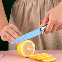 Ensemble de couteaux de cuisine à revêtement antiadhésif coloré de 6 pièces en gros d'usine avec support en acrylique détachable