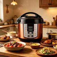 Cuisinière électrique multifonction 12-en-1, 5 L, en acier inoxydable, programmable numériquement, appareil de cuisine