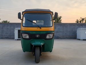 Venta Especial: Triciclo Eléctrico de Dos Plazas, Taxi Urbano de Energía Limpia, E-Trike de Alta Calidad - Product Image 3