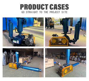 Souffleur Roots à entraînement direct, à haut volume d'air et à trois lobes, produit phare pour usage industriel - Product Image 2