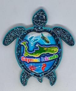 Diseño de Mapa de Tortuga Marina, Producto Más Vendido - Diseño Único - Estilo Océano Azul - Product Image 2