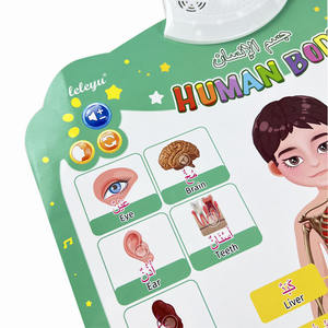Affiche sonore de corps électronique <span class=keywords><strong>arabe</strong></span>-anglais bilingue tableau mural interactif <span class=keywords><strong>bases</strong></span> jouets éducatifs pour enfants - Product Image 6