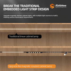 24V mini xoay ánh sáng tại chỗ Tủ chiếu sáng LED theo dõi từ đèn cho cửa hàng trang sức triển lãm Bảo tàng - Product Image 4