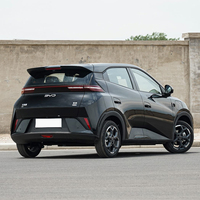 Mg Seagull 2025 Honor Edition 305KM Vitality Edit Electric Ev Car