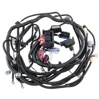 Suku cadang mesin kinerja untuk LS2 LS3 6.2L TR6060 T56 / 58X 2006-2015 Harness mandiri oleh kawat DBW