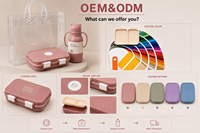 Ensemble de boîtes à lunch en silicone personnalisées pour enfants avec gourde anti-fuite à oreilles d'ours, conteneur bento compartimenté, OEM ODM, logo couleur