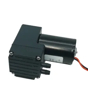 HCKG Hot Deal 8/10W Corrosionresistant DC Brushless Motor Mikro Diafragma Pompa Air