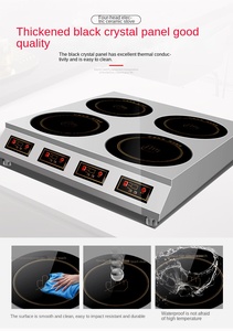 2000W Induction Cuisinière Infrarouge Cuisine Électrique RV 4 Brûleurs Table de Cuisson avec Bouton de Contrôle Boîtier en Acier Inoxydable Alimenté par Batterie - Product Image 4