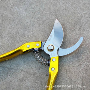 Gisen Pruning Shears Sk-5 Carbon Steel 45mm Blade 20-30mm Trimming Diameter <b>Butterfly</b> Structure <b>Garden</b> Tools - Product Image 2