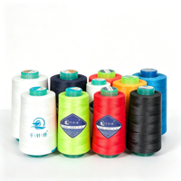 Fil à coudre durable en polyester 100% arc-en-ciel, écologique, plus de 2000 couleurs, vente directe d'usine en Chine