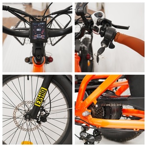 Aimos changzhou Xe đạp điện nhà máy 48V 750W phía sau động cơ 20Ah Lithium ẩn Pin điện ba bánh chất béo lốp gấp etrike - Product Image 2