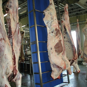 Línea de Sacrificio de Ganado Llave en Mano con Equipo Completo para Plantas de Procesamiento de Carne de Res - Product Image 3