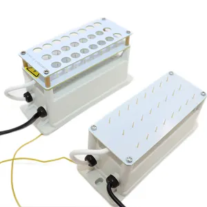 DC12V AC110V Nadelpunkt-Bipolar-Ionisations-Plasma ionen generator für die HLK-Sterilisation entfernen Geruch