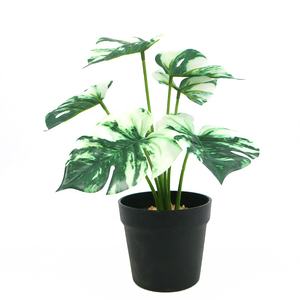 <span class=keywords><strong>Monstera</strong></span> artificielle de 25 cm de haut, variée, en gros, <span class=keywords><strong>plante</strong></span> artificielle <span class=keywords><strong>Monstera</strong></span> - Product Image 1