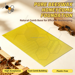 Multiple Sizes Natural Beeswax <strong>Bee</strong> Comb Foundation Sheet, Chinese <strong>Bee</strong> / Western <strong>Bee</strong> Wax Foundation Beekeeping Equipment - Product Image 2