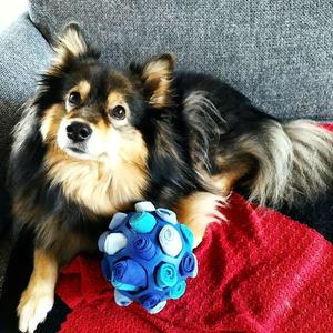 Palle Interattive Eco-Friendly per Cani: Giocattoli Olfattivi per Nascondere Snack, Palle Puzzle in Gomma per Stimolazione Mentale - Product Image 5