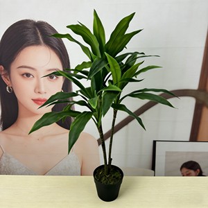 Árbol de Hierro de Sangre de Dragón de Simulación Bicolor Zhu Jiao para Decoración de Escenas de Hotel, Navidad y Graduación - Product Image 5