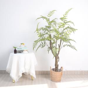 <span class=keywords><strong>ต้นไม้</strong></span>ประดิษฐ์ ใบเฟิร์นพลาสติก หญ้าเปอร์เซีย เป็นมิตรกับสิ่งแวดล้อม สมจริงสูง ตกแต่งบ้านและสวนในร่ม - Product Image 1