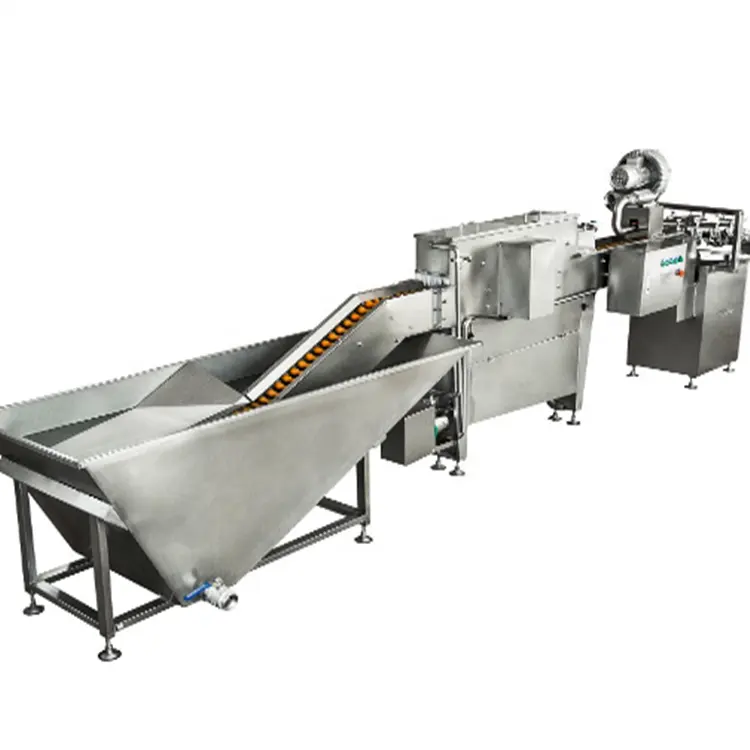10000pcs automatic SUS304 egg washing and egg yolk production line