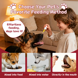 Cairan untuk anjing kucing Hip kesehatan sendi OEM ODM alami Glucosamine kunyit mangan MSM perawatan kesehatan hewan peliharaan tetesan - Product Image 4