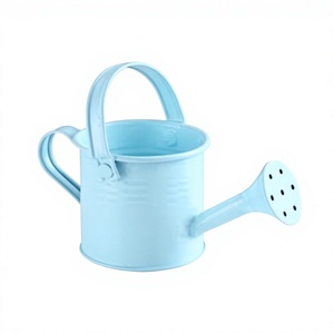 Arrosoir en métal bleu clair avec long bec verseur et tête de pulvérisation, style vintage, pour jardin, fontaine d'eau, pièce maîtresse - Product Image 1