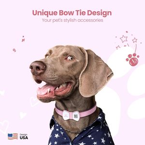 PawView, оптовая продажа, силиконовая бирка NFC, смарт-Код QR, бирка для домашних животных, индивидуальная бирка для собак - Product Image 2