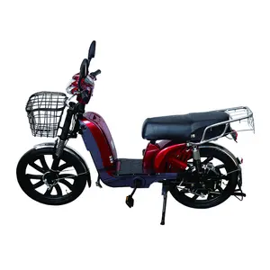 Milg-Bicicleta eléctrica de ciudad, scooter de carga, ciclomotor eléctrico