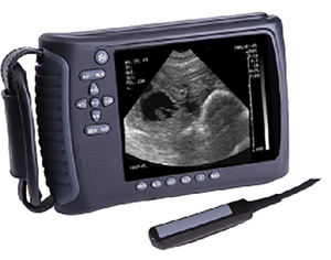 Longermay Echografie Voor Dierlijke Echografie Fysiotherapie Machine - Product Image 4