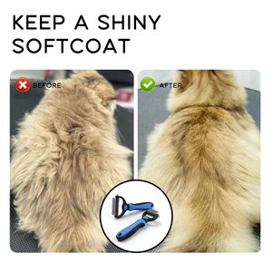 <span class=keywords><strong>Spazzola</strong></span> per cani con peli lunghi per cani, pettine per peli di animali domestici per rimuovere i peli di gatto con <span class=keywords><strong>spazzola</strong></span> Soft Touch, massaggio per animali domestici, prodotti per la pulizia e la toelettatura - Product Image 6