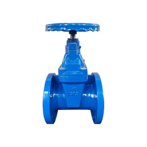 Vanne à opercule en fonte ductile à siège souple à extrémité à brides pour l'alimentation en eau et les équipements de lutte contre l'incendie Z45T-16 Fire for F - Product Image 5