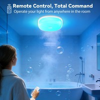 Lumière de douche LED à détection humaine, télécommande, fixation magnétique, installation sans perçage, veilleuse pour salles de bain et usage domestique