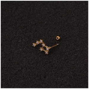 Großhandel Schmuck Niedlichen Edelstahl Ohr Piercing <span class=keywords><strong>Stud</strong></span> CZ Zwölf Knorpel Helix Rook Lobe Screw Back Ohrring - Product Image 5