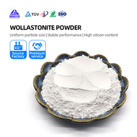 Poudre de Wollastonite traitée en surface avec un agent de couplage silane modifié pour le renforcement des composites en nylon