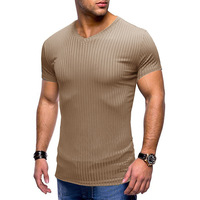 Summer Men's Sports Fitness T-shirt à manches courtes European and American Men's Slim Fit V-neck Knitted Sweater Top OEM