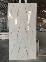 Panneau mural 3D en PVC marbré moderne et luxueux, antistatique, imperméable, ignifuge, résistant à l'humidité, écologique, pour la maison
