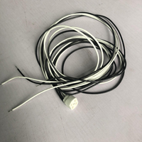 G10q Socket 250v 660w Support de lampe en céramique OEM Personnaliser Longueur de câble
